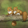 red squirrels