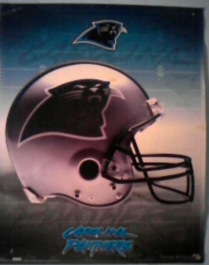 Carolina Panthers Poster