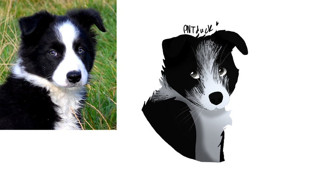 Not Fixed Doggo No Line real doggo by Peanut-Duck on DeviantArt