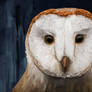 Owl Commission