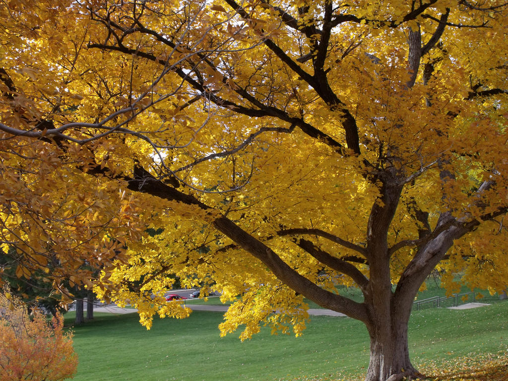 USU in the fall 02