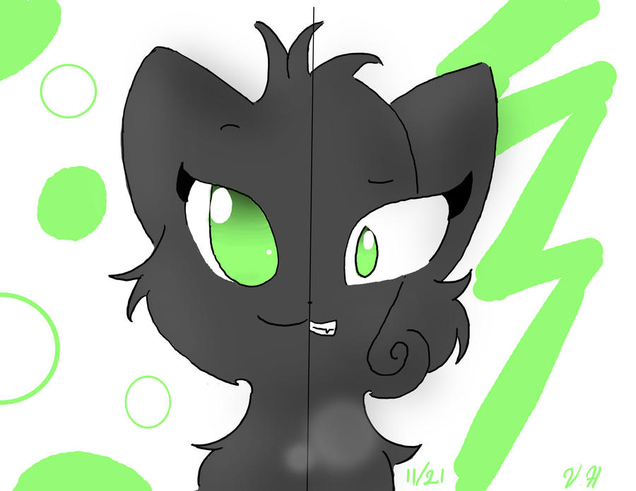 Hollyleaf: Two Worlds