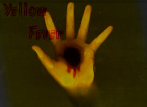 yellow fever