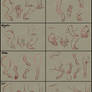 Some general Leg Anatomy