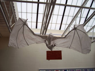 Dragon on display