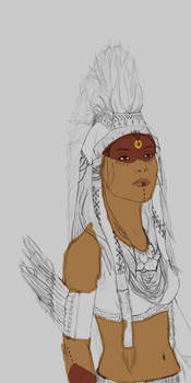 Shaman WIP