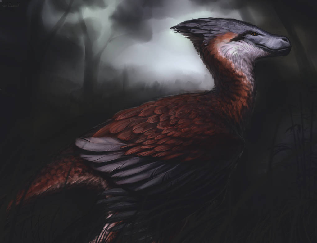 Novora Raptor Novaraptor by LonGrand on DeviantArt