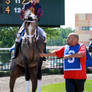 Jockey Maria Remedio