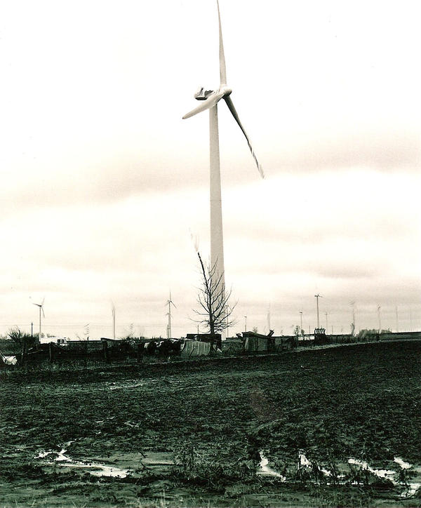 wind mill