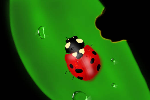 LadyBug