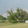 Rainbow Beyond the Foliage