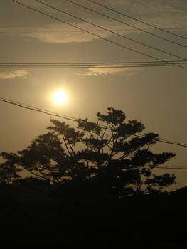 Sunset in Okinawa 5