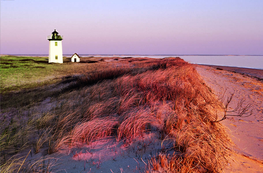 Beach of Colors