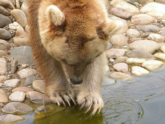 Heidelberg Zoo