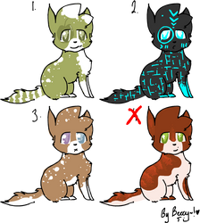 Feline Adoptables c: