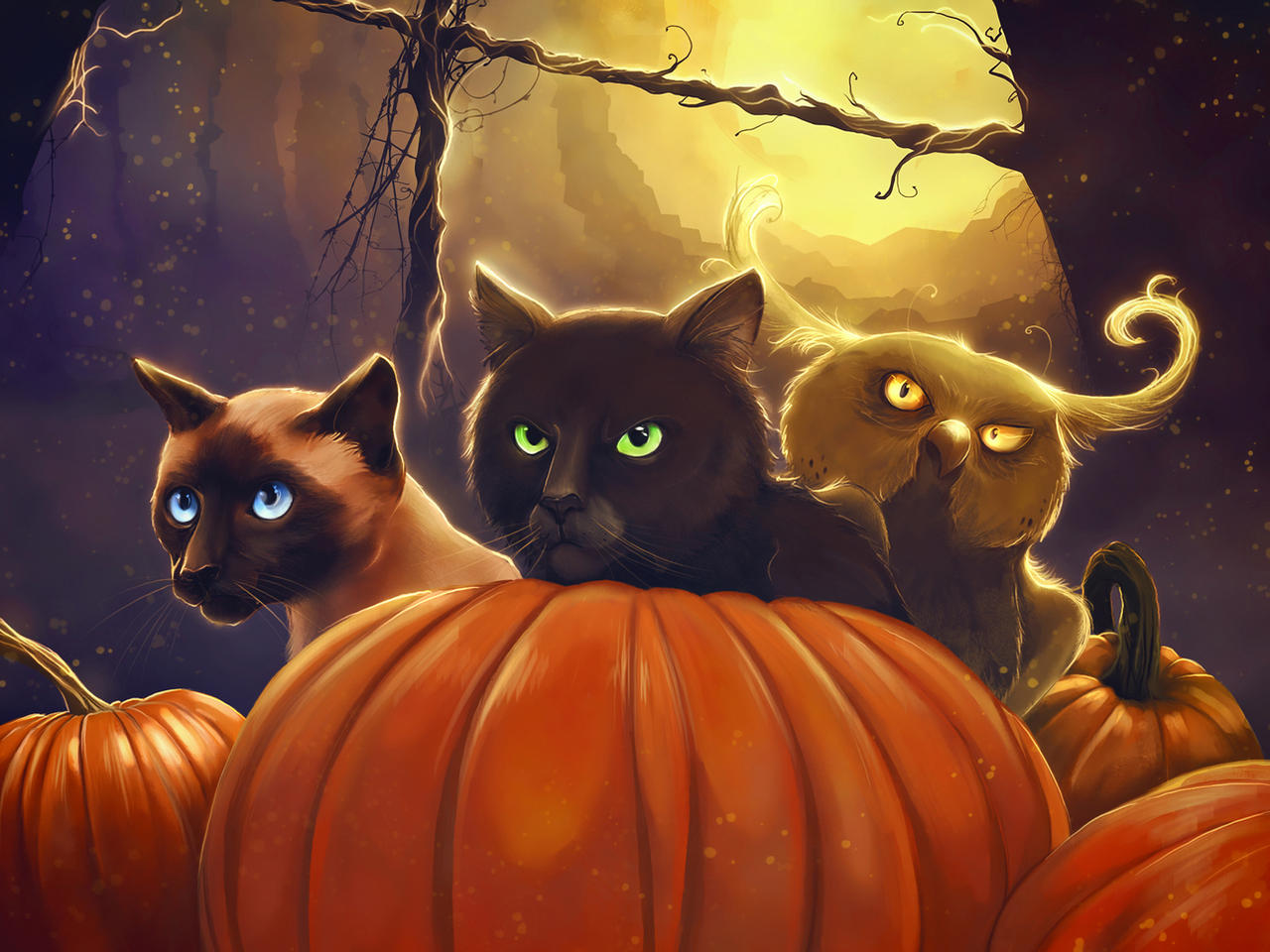 Attack At My Command by ViaEstelar on DeviantArt