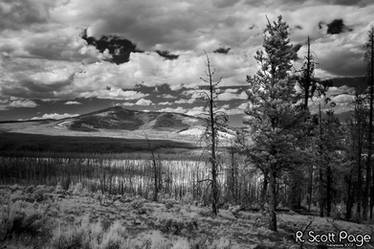 Yellowstone 2007 - Infrared