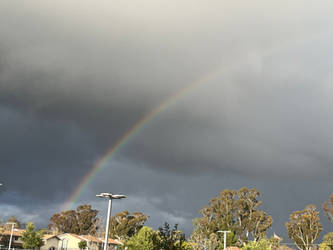 A Rainbow on a rainy day