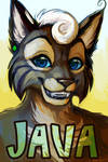 Java Badge by OrcaOwl