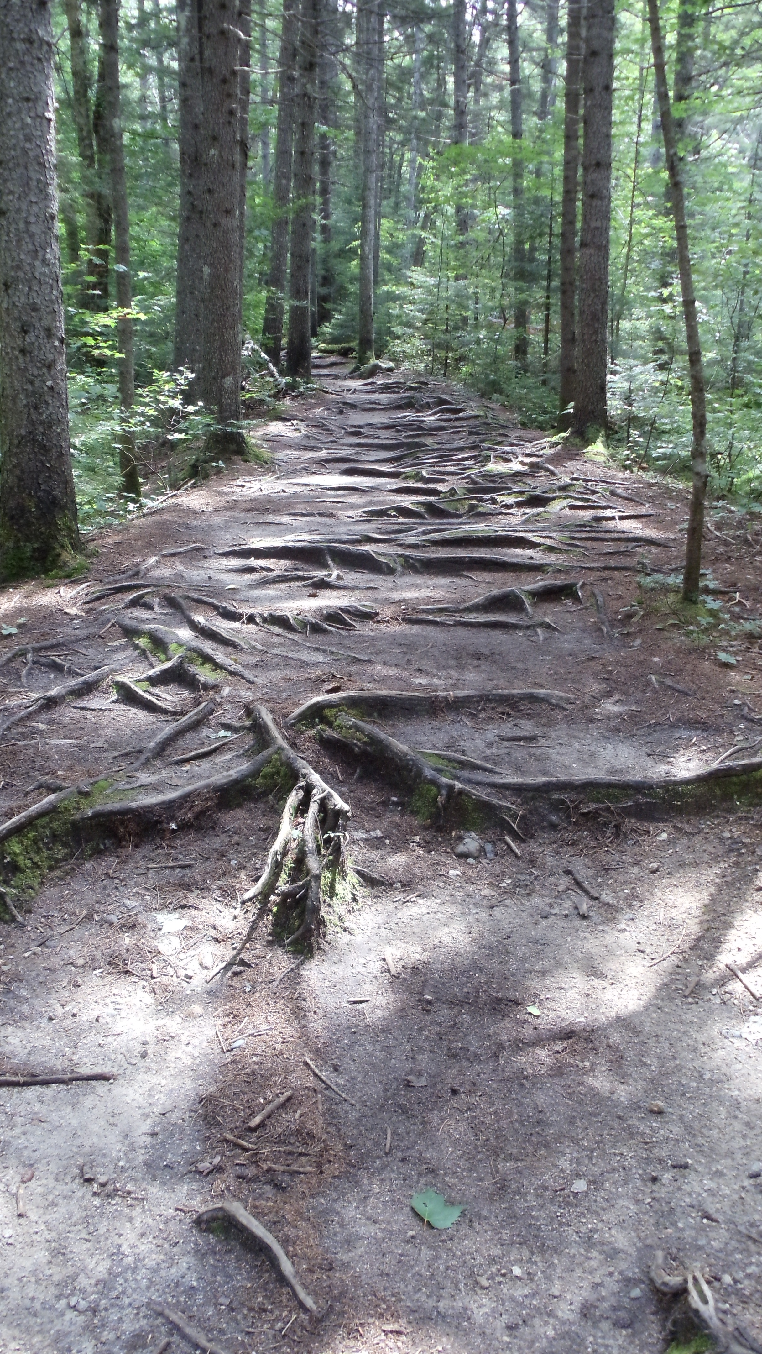 Path of Sticks