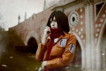 Mikasa Ackerman - Shingeki no Kyojin