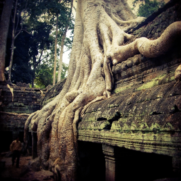 Ta Phrom II