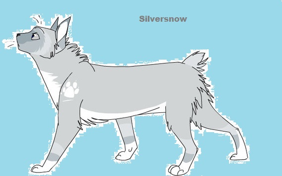 Silversnow ID.