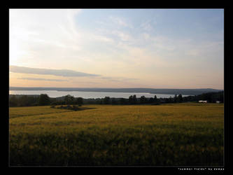 Summer Fields