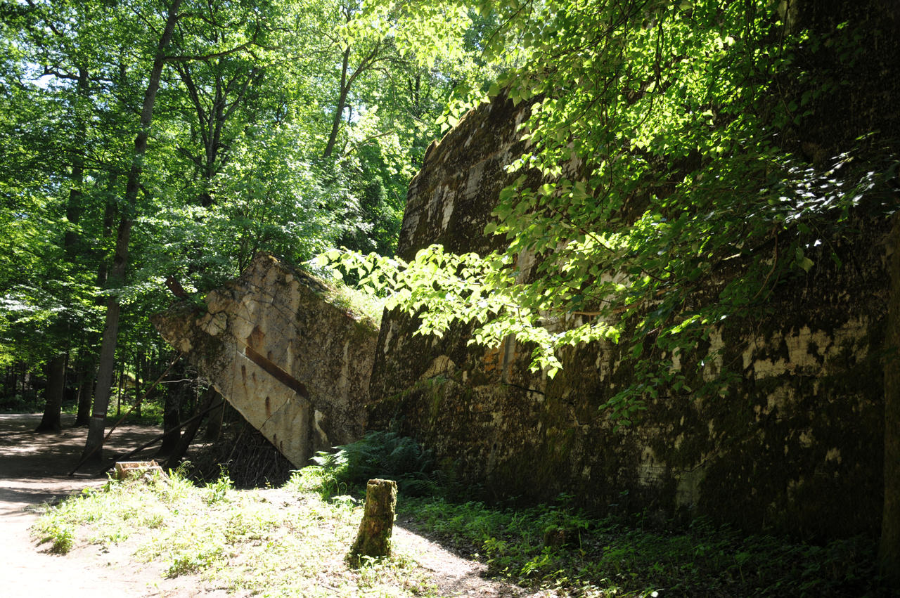 Stock Photo Hitler's Bunkers Wolf's Lair by JK-Gallery on DeviantArt