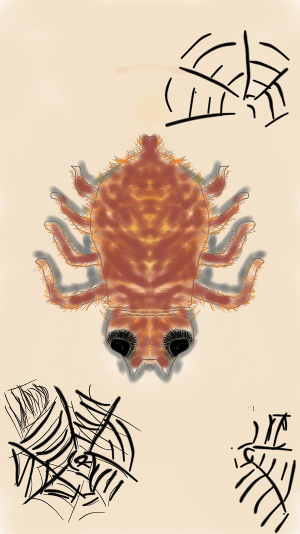 Spider Insect Deviantart SPIDER by abdulart on DeviantArt