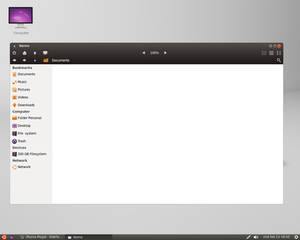 Nemo - Mockup - Linux Mint-3  (Ambience  theme  )