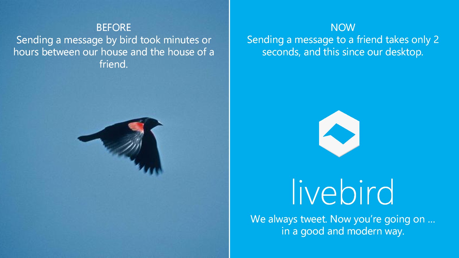 LiveBird Graphic - In building ...