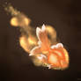 Gold Fish