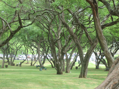 Hanauma Bay 4