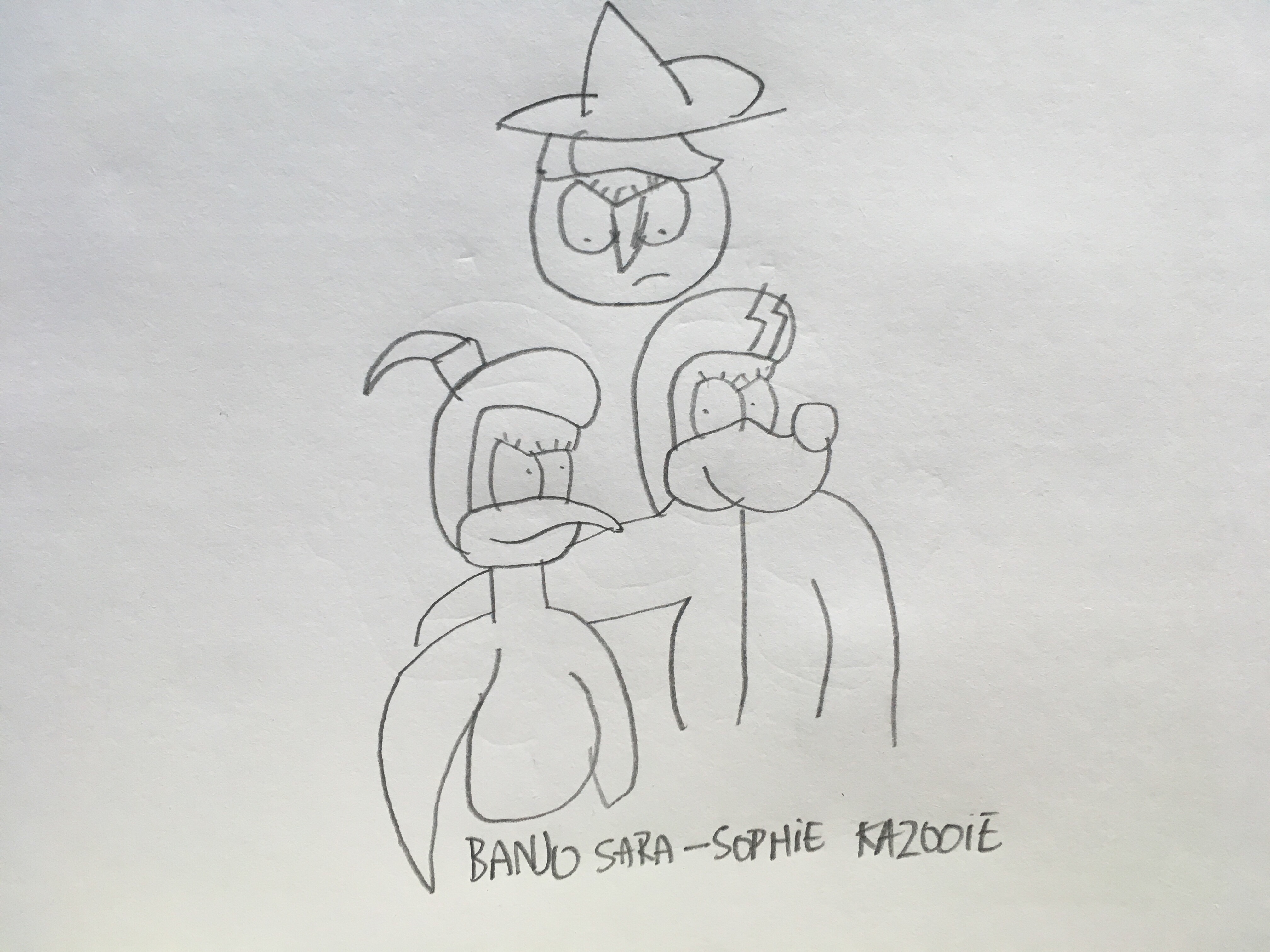 (OLD) Banjo Sara - Sophie Kazooie