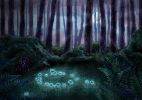 Mysteries of the Night Forest