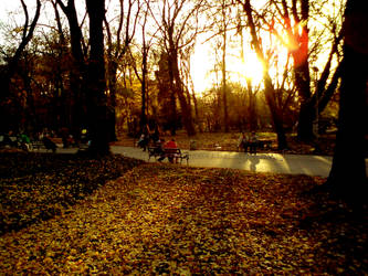 Fall Love park
