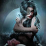 Dark Witch