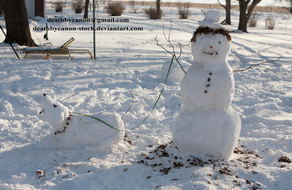 Snowman and His Dog