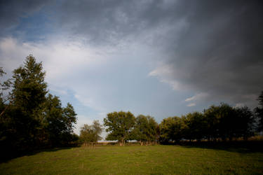 Pasture at Dusk