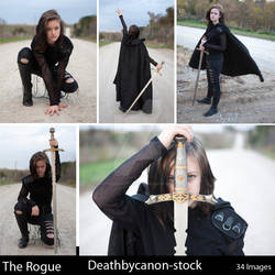 The Rogue Sample Gallery