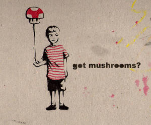 Got Mushrooms?