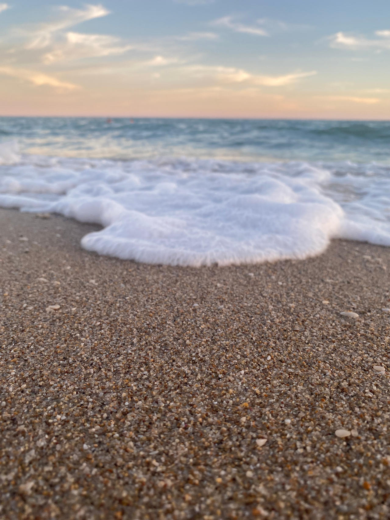 Beach Vibes