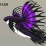 Cyler the Crowntail betta zora