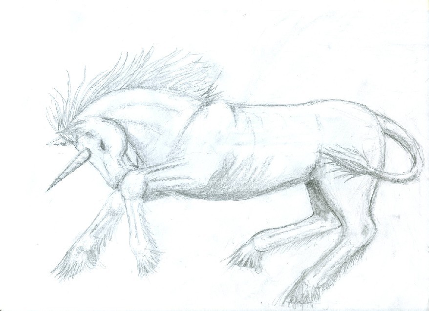 Unicorn Sketch