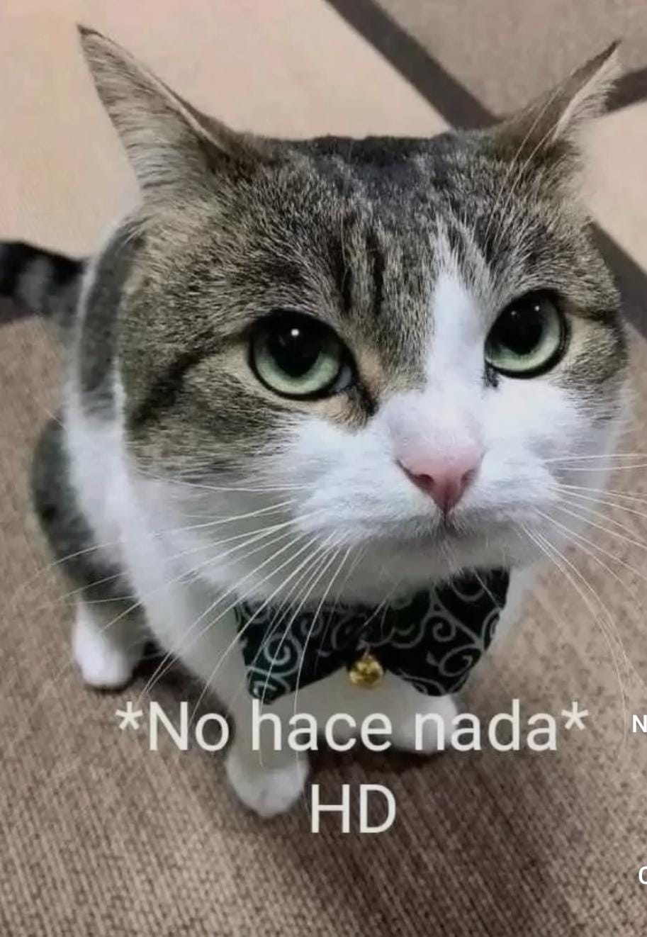 No Hace Nada meme By Leon12121212 On DeviantArt no-hace-nada-meme-by-leon12121212-on-deviantart