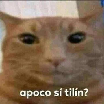Apoco Si Apoco si Tilin meme by Leon12121212 on DeviantArt