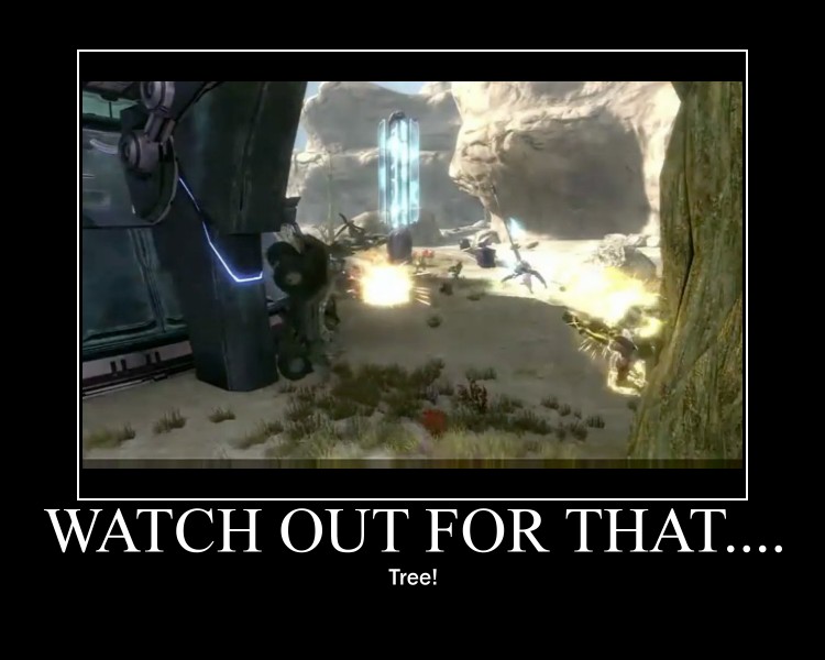 WATCH OUT FOR THAT...TREE