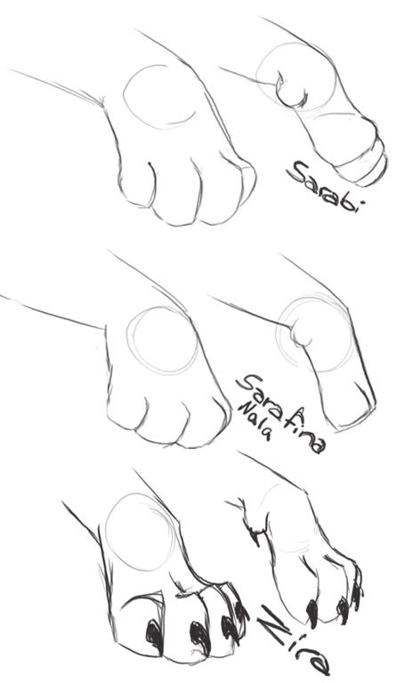 Different Paw Styles by dyb on DeviantArt