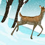 Winter Deer